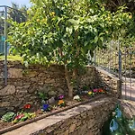 Marilu Vista Mare Con Giardino Tatil Evi Cenova